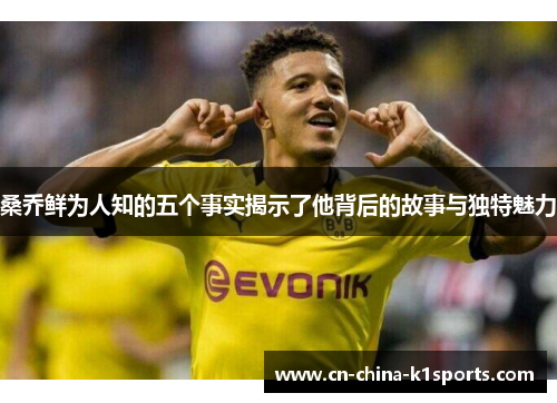 桑乔鲜为人知的五个事实揭示了他背后的故事与独特魅力