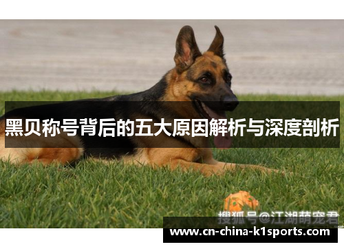 黑贝称号背后的五大原因解析与深度剖析 黑贝称号背后的五大原因解析与深度剖析